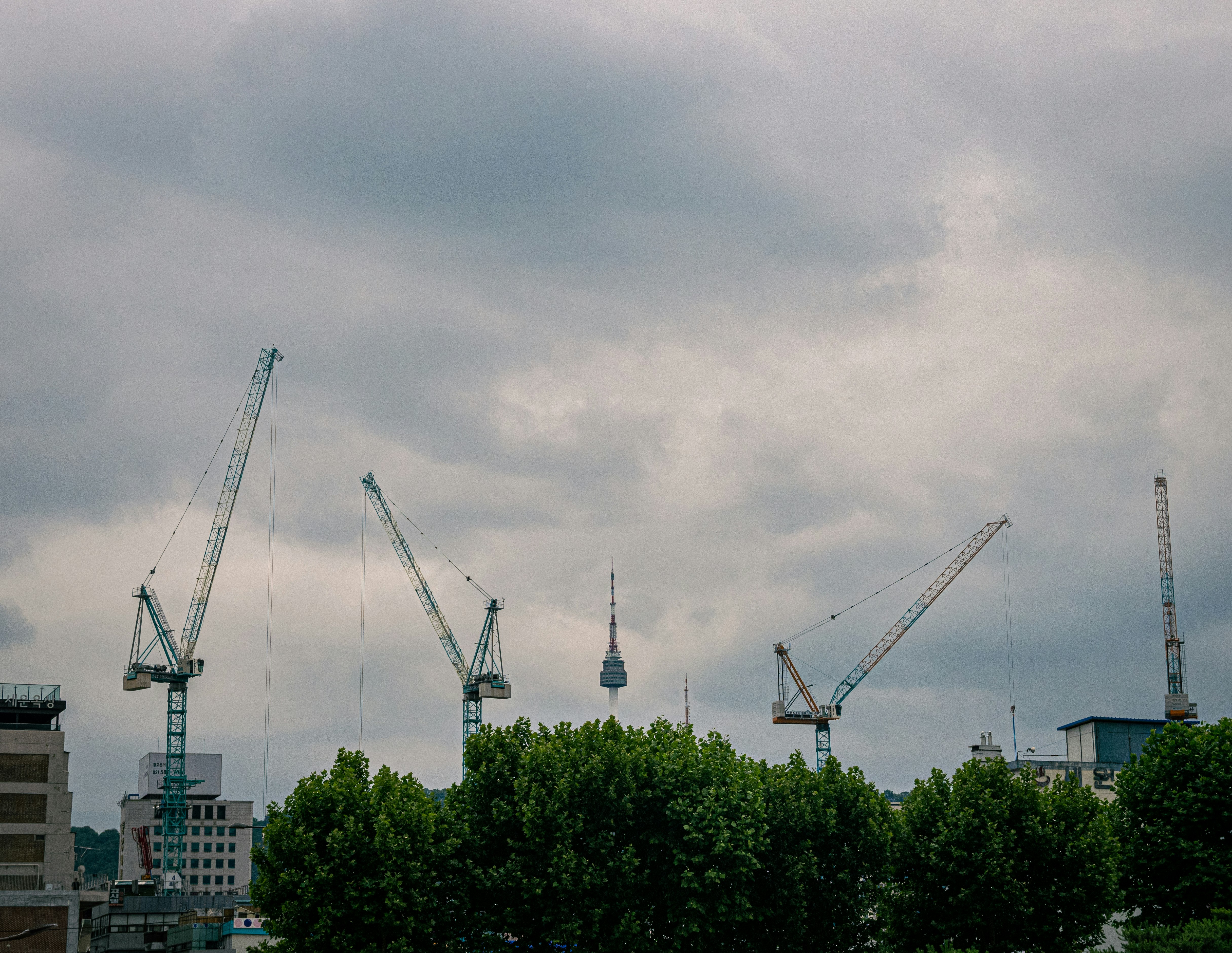 white and blue crane near green trees under white clouds during daytime